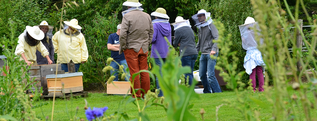 das Bild zeigt eine Schulungsgruppe an Bienenbeuten (Foto: U. Boedecker)